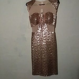 Gianni Bini sheath dress